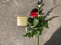 Stolperstein für Heinrich Barth mit Rose