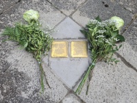 Zwei weiße Rosen liegen links und rechts neben zwei Stolpersteinen auf grauem Pflaster